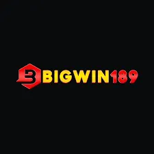 BIGWIN189 - Pertarungan Terbaik untuk Penggemar Fighting